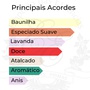 Notas