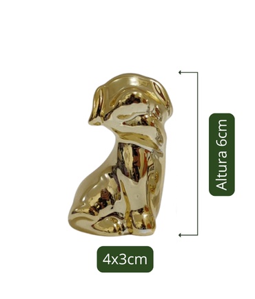 Cachorrinho Espelhado