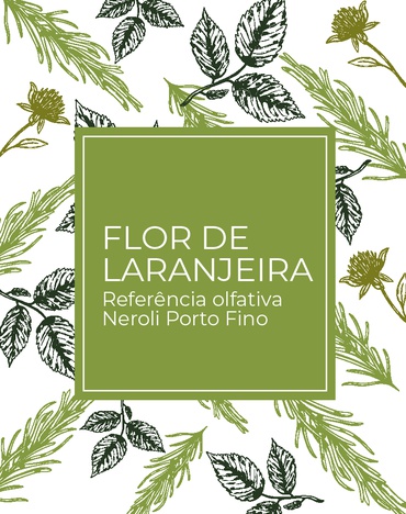 Flor de Laranjeira