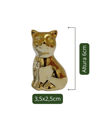 Gatinho Espelhado