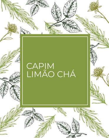 Capim Limão Chá