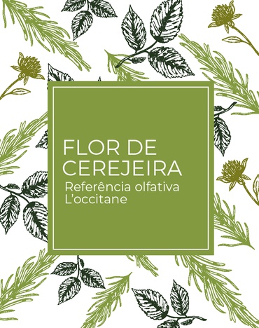 Flor de Cerejeira