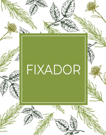 Fixador