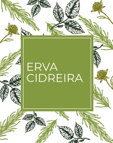 Erva Cidreira