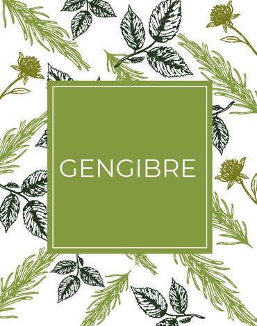Gengibre
