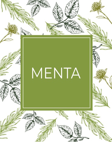 Menta