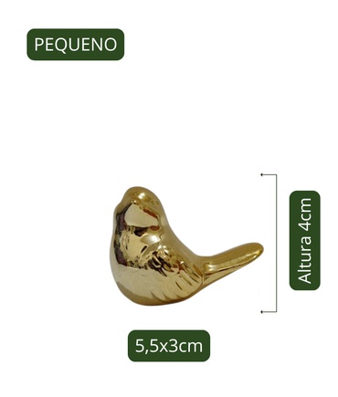Passarinho Espelhado